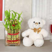 Two Layer Bamboo Teddy Combo